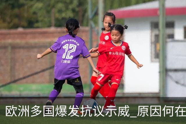 欧洲多国爆发抗议示威 原因何在？影响几何？