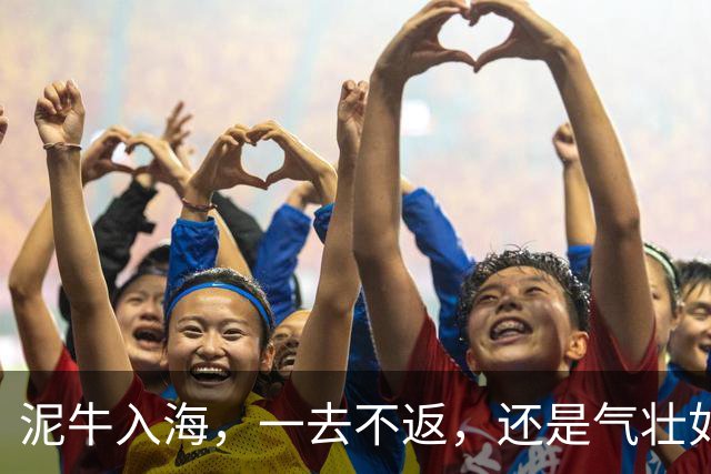 泥牛入海，一去不返，还是气壮如牛，卷土重来？这些新星给出了答案