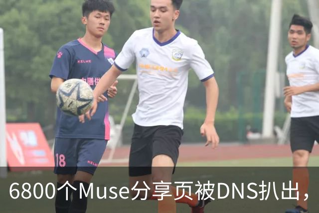 6800个Muse分享页被DNS扒出，Meta紧急暂停